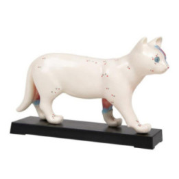 Erler-Zimmer Akupunkturmodell Katze 19 cm