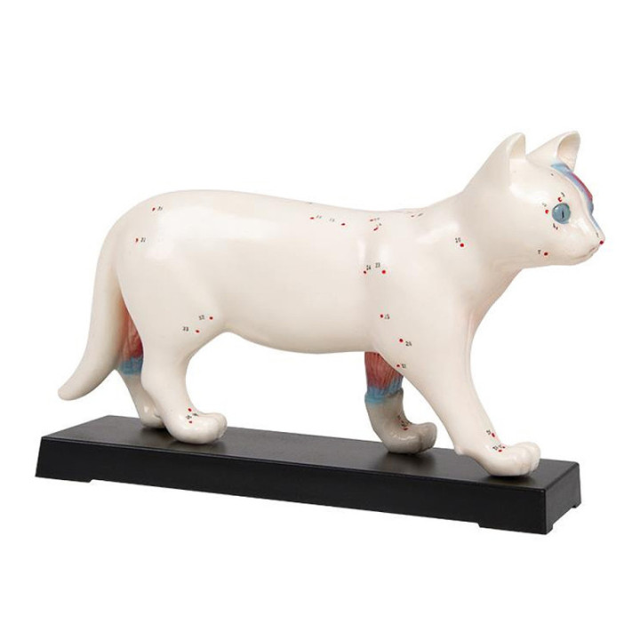 Erler-Zimmer Akupunkturmodell Katze 19 cm
