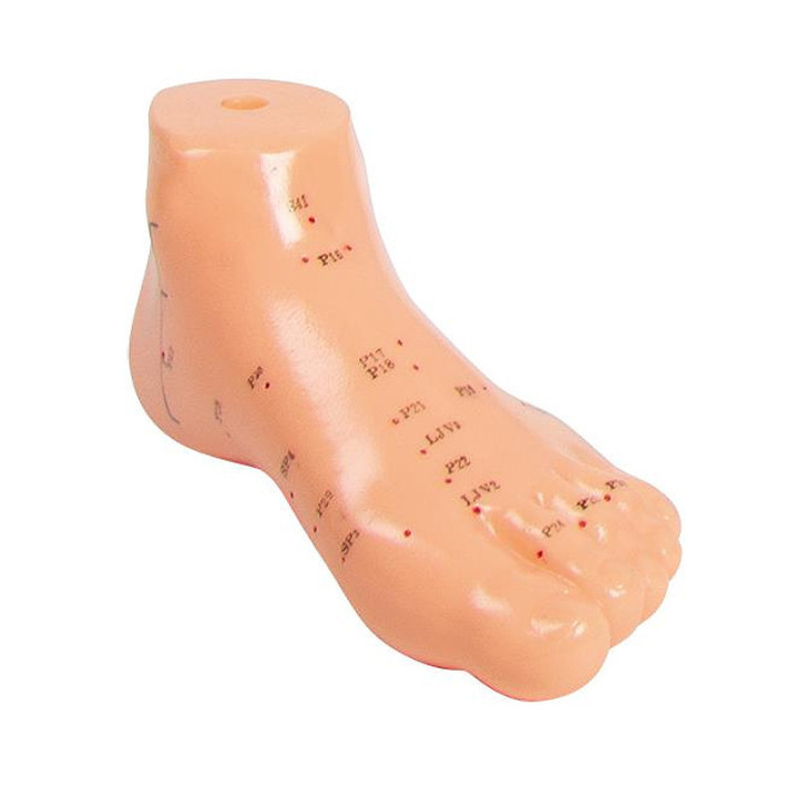 Erler-Zimmer Ohrmodell  Fussmodell 8,5cm