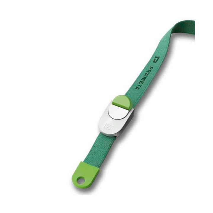 Der grüne Stauer von Prämeta.