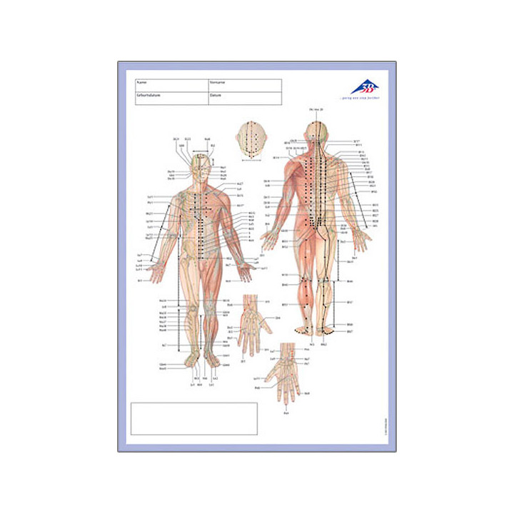 3B Scientific Meridian NotizblockVorderseite im DIN A4 Format